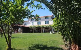 Azienda Agricola Sapereta